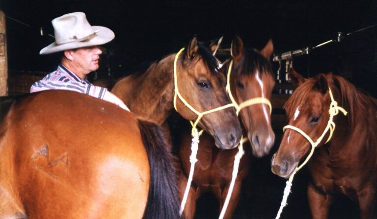Ray Marxer with four of his favorite horses.