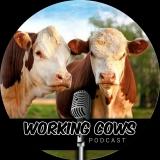 Working Cows Podcast